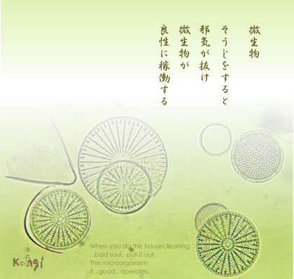 安部浩之作品No,070401-1